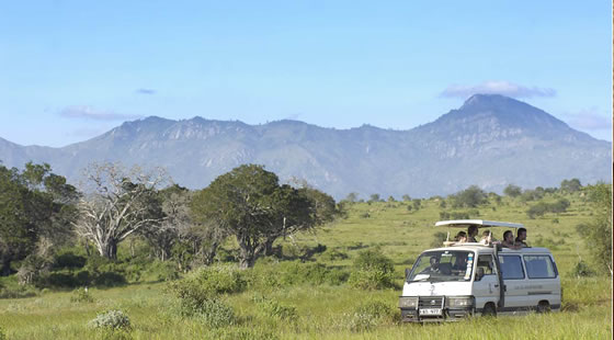 Salt Lick Lodge Game Viewing